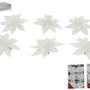 Cvjetići za bor 6/1